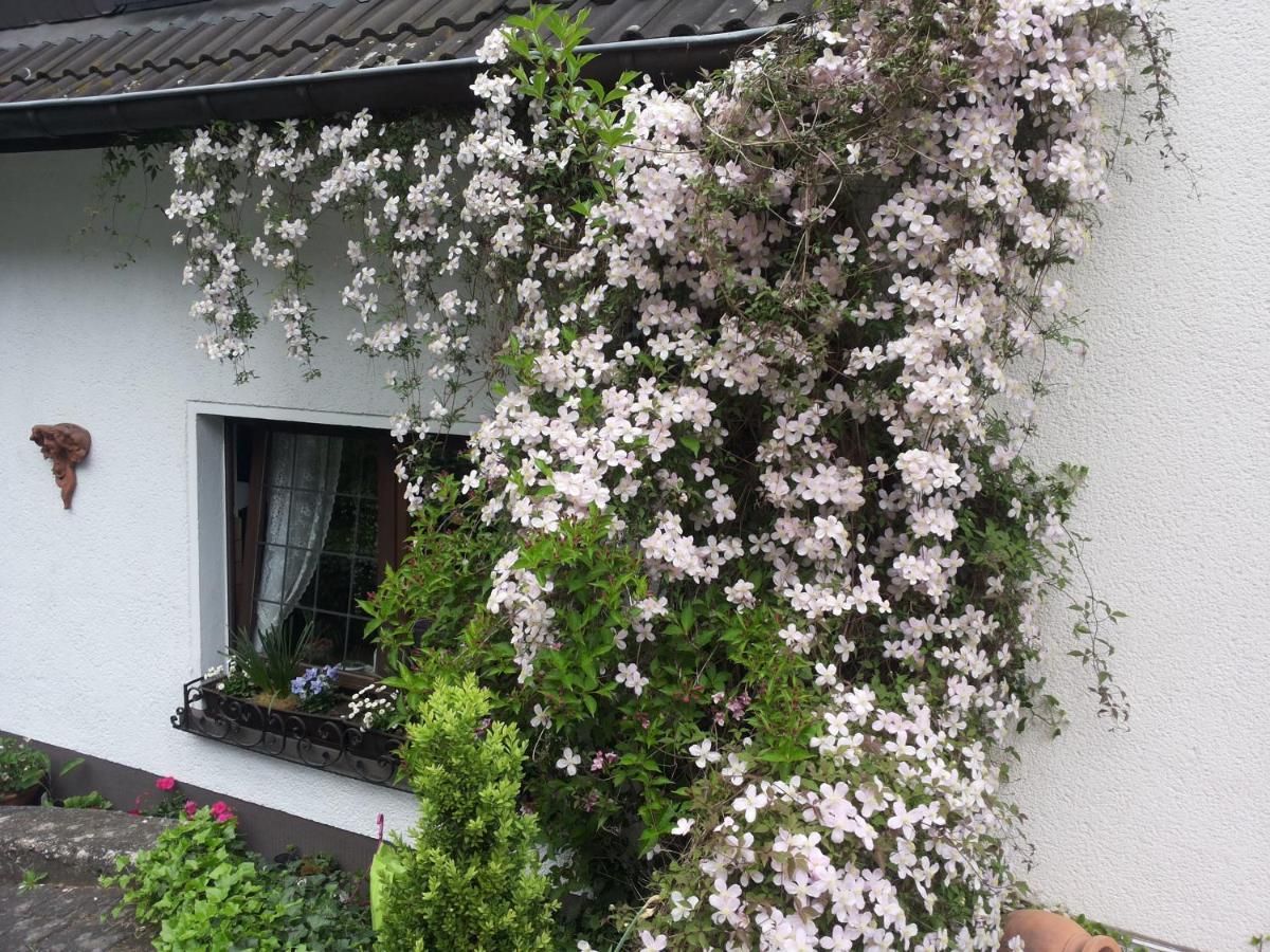 Gaestezimmer Am Huestert Adenau Bagian luar foto